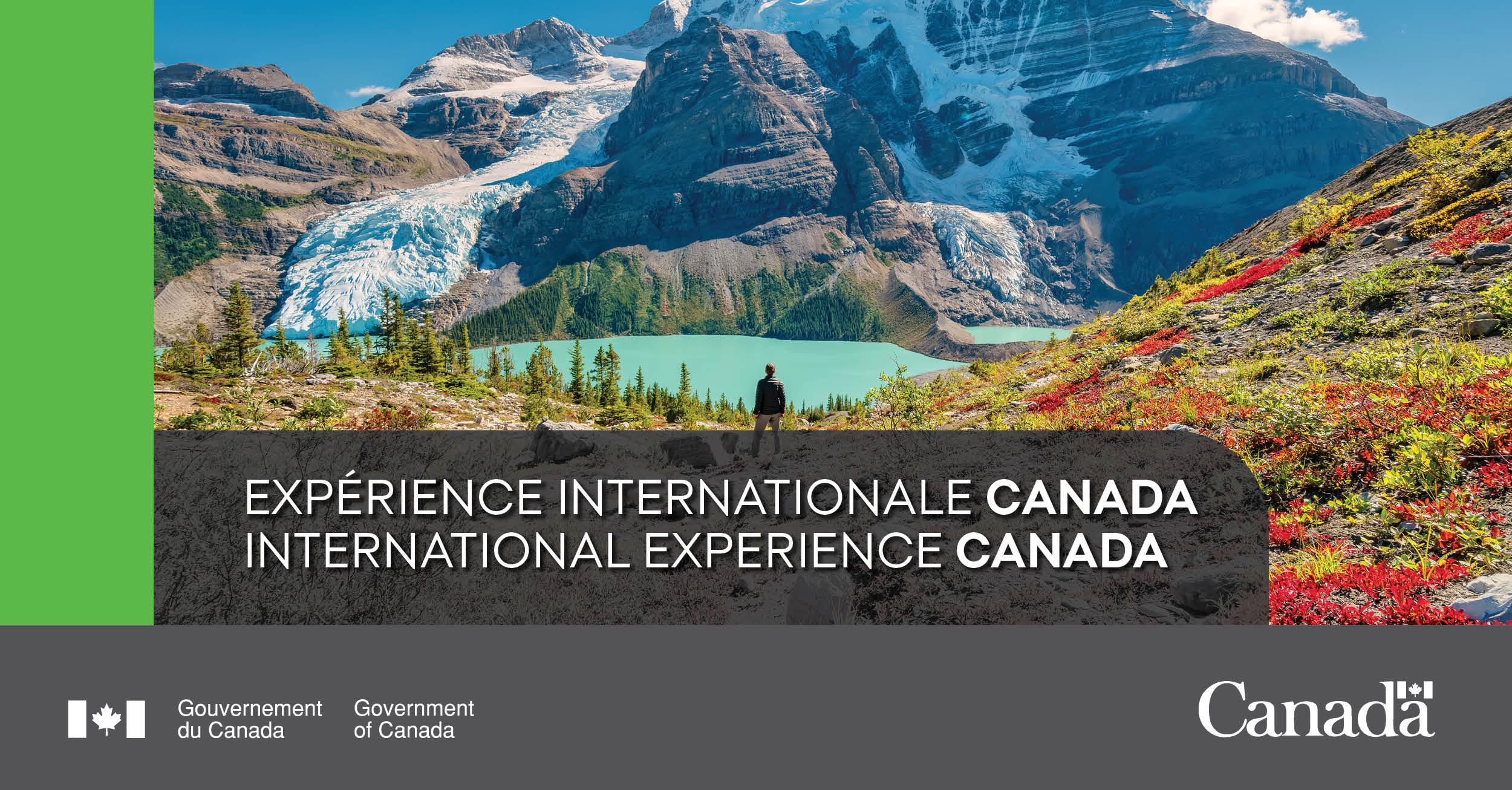 ¿Por qué trabajar con nosotros?