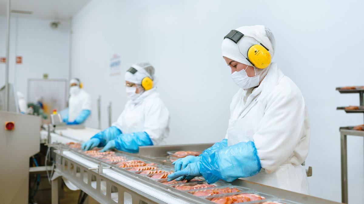 ¿Qué perfiles estamos buscando?