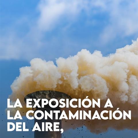 ¿Qué perfiles estamos buscando?