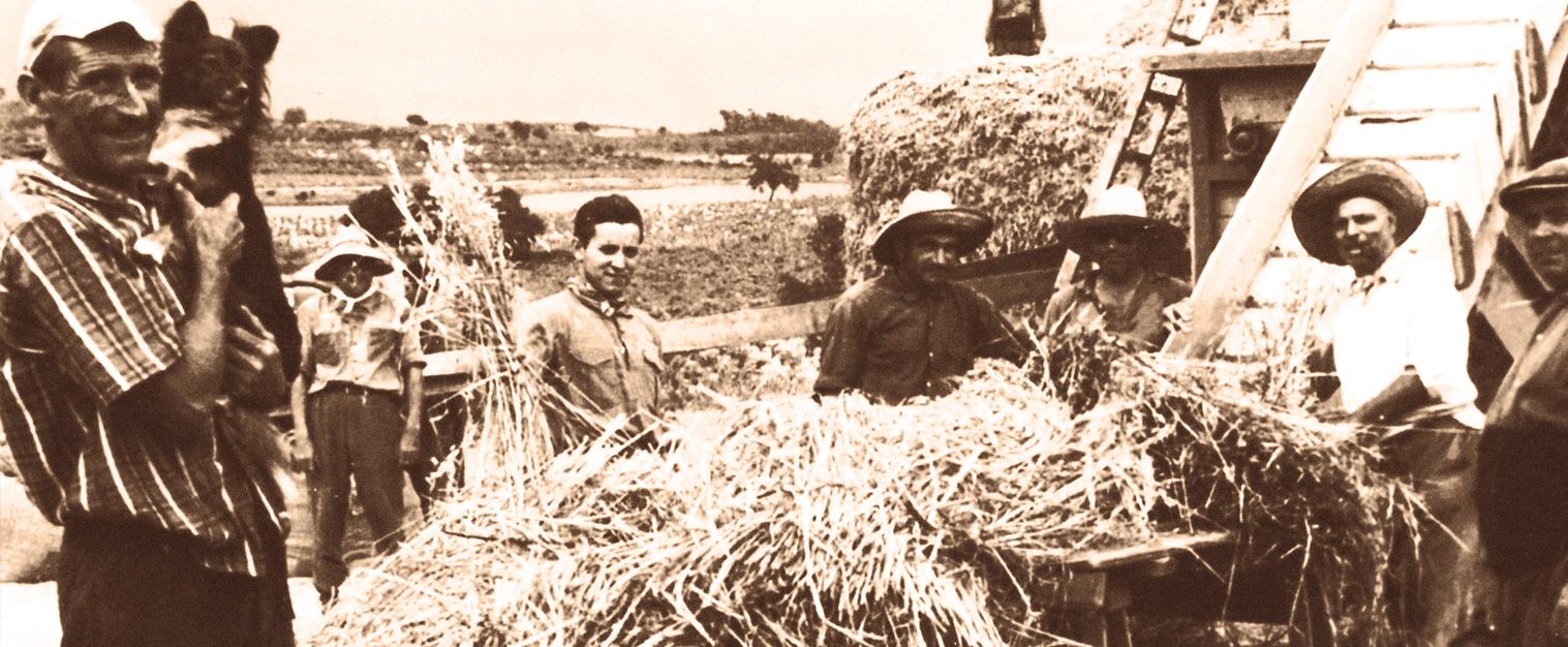 ¿Por qué trabajar con nosotros?