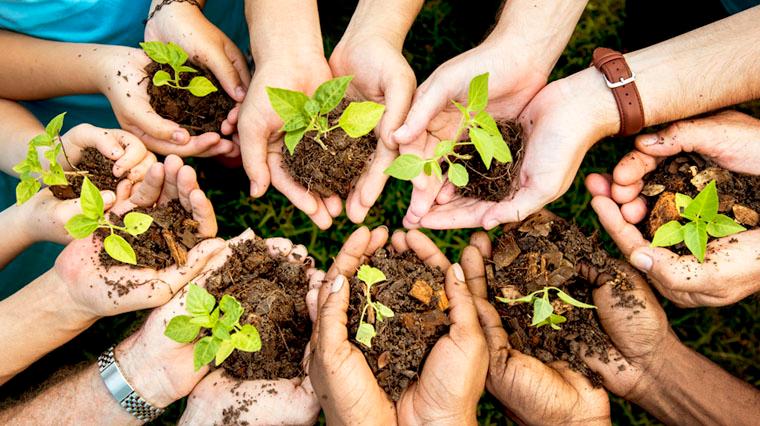 What profiles are we looking for?