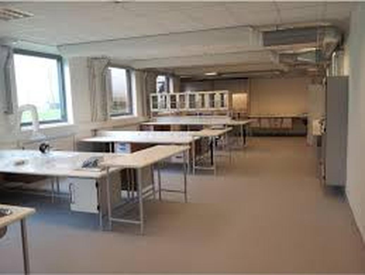 ¿Qué perfiles estamos buscando?